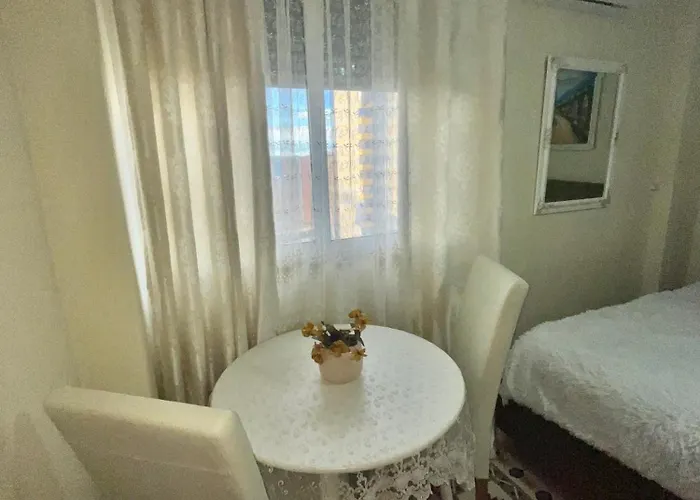 Evis House تيرانا