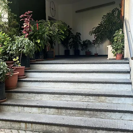 Apartament Evis House *