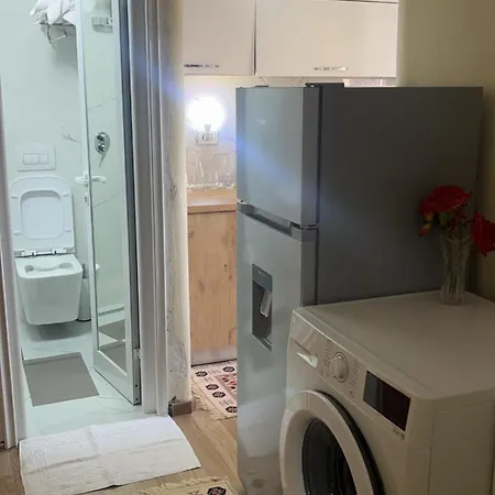 Apartament Evis House *